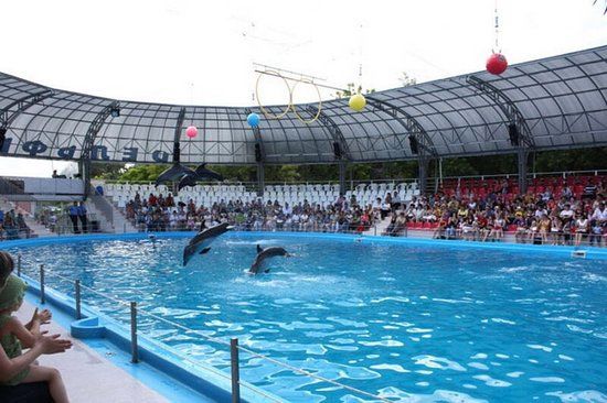 Dolphinarium in Odessa